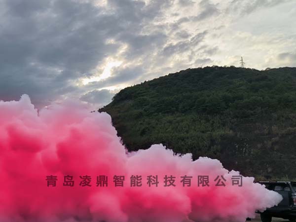 遠(yuǎn)程遙控造霧設(shè)備-10型